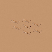 Bialystocks「Everyday」配信ジャケット