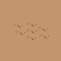 Bialystocks「Everyday」配信ジャケット