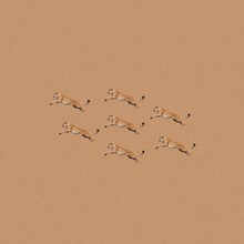 Bialystocks「Everyday」配信ジャケット