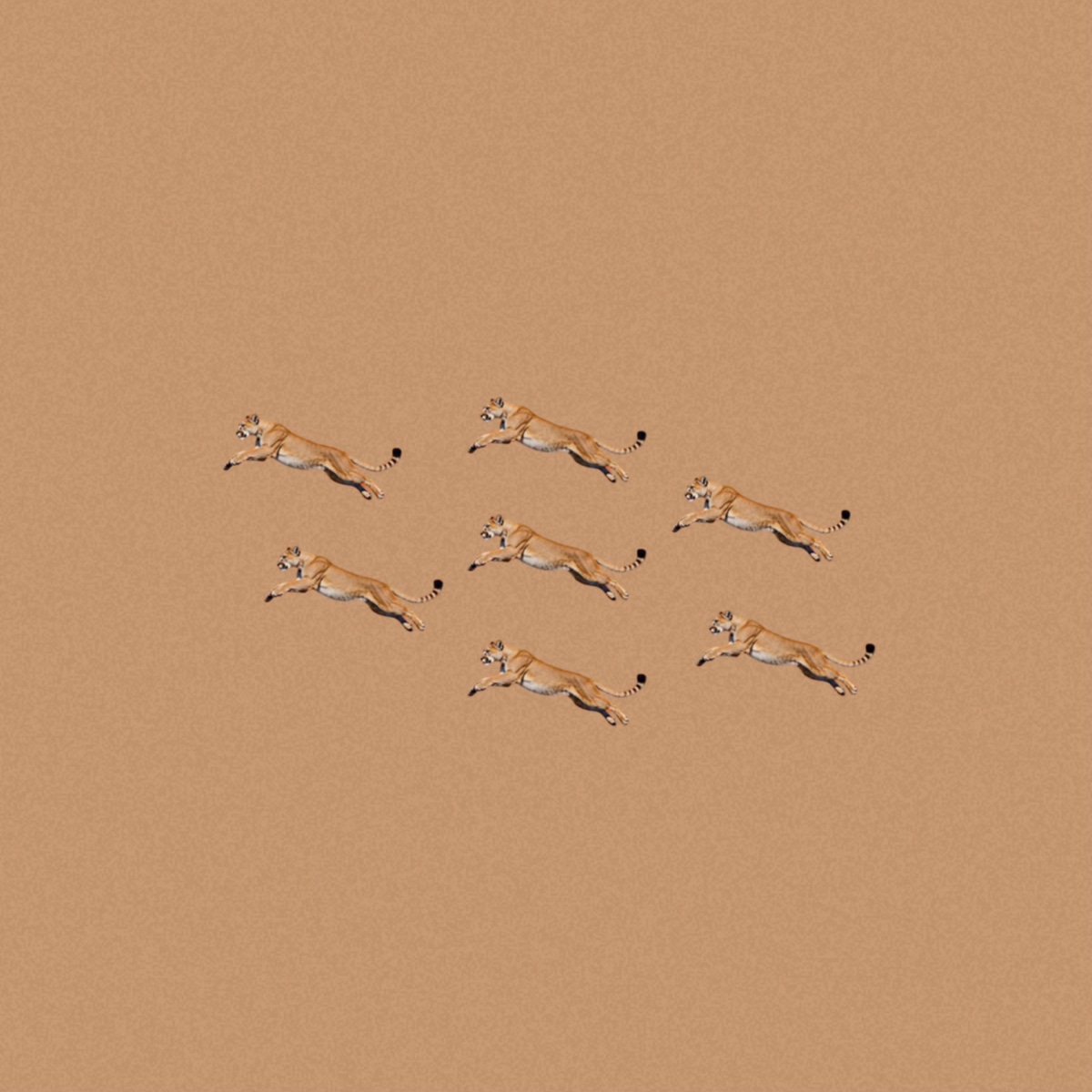 Bialystocks「Everyday」配信ジャケット