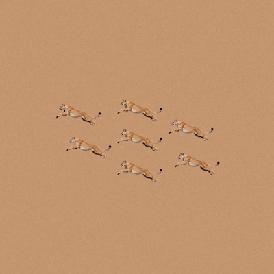 Bialystocks「Everyday」配信ジャケット