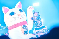 招き猫のバルーンと詩羽（水曜日のカンパネラ）。（Photo by Ryo Ogawa）