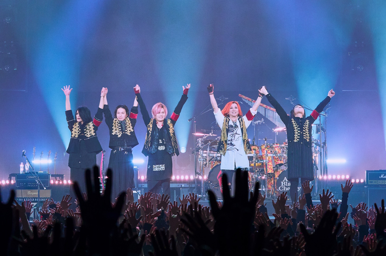 Acid Black Cherryフィルムライブにお台場熱狂、誕生日迎えたyasuは手紙で感謝の思いを伝える