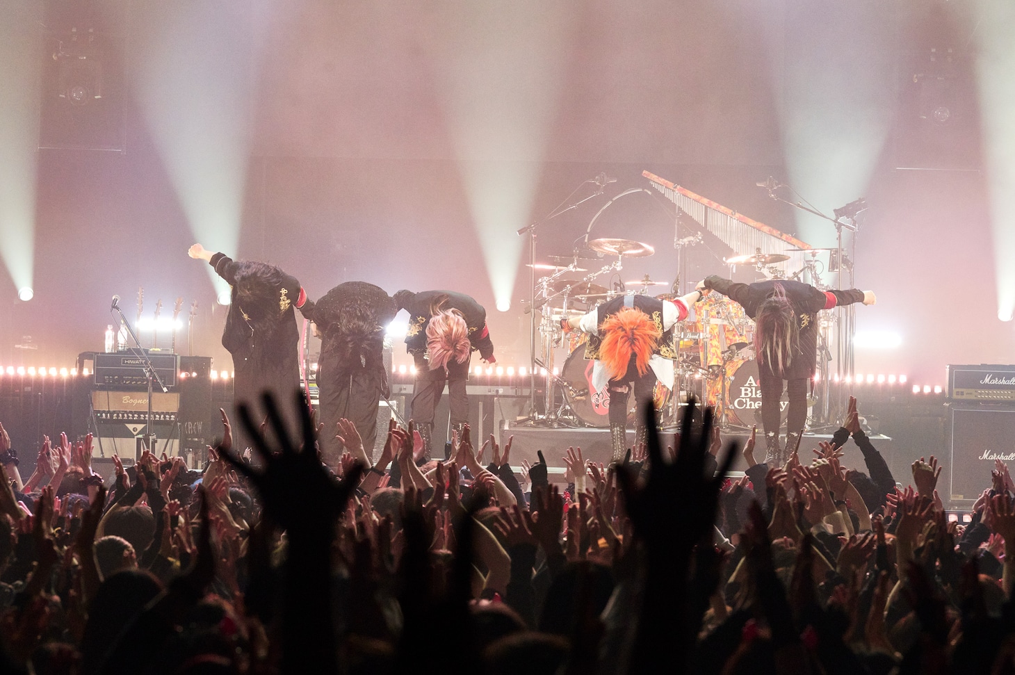 「Acid Black Cherry FILM LIVE tour FINAL feat. ABC BAND」Zepp DiverCity（TOKYO）公演の様子。（Photo by Akira "TERU" Sugihara）