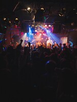 the paddlesの兵庫・MUSIC ZOO KOBE 太陽と虎公演の様子。（撮影：オガワタクヤ）