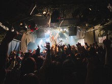 the paddlesの兵庫・MUSIC ZOO KOBE 太陽と虎公演の様子。（撮影：オガワタクヤ）