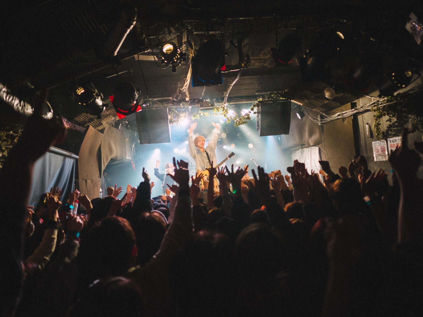 the paddlesの兵庫・MUSIC ZOO KOBE 太陽と虎公演の様子。（撮影：オガワタクヤ）