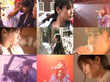 「ZARD LIVE & MUSIC VIDEO HISTORY」より