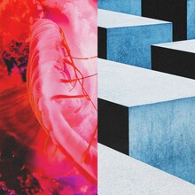 キタニタツヤ feat. BABYMETAL「かすかなはな」通常盤