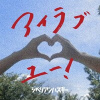 シベリアンハスキー「アイラブユー！」ジャケット