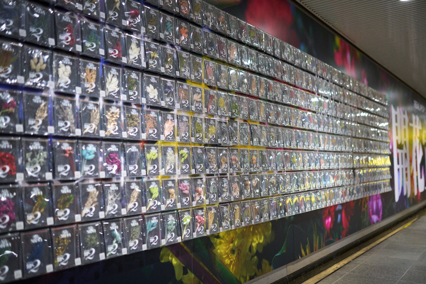 「開花宣言」ピールオフ広告