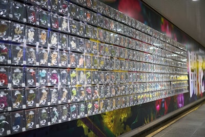 「開花宣言」ピールオフ広告