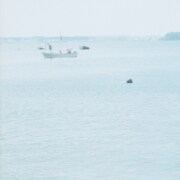 ルルルルズ「fève」配信ジャケット