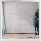 タデクイ「MOTHER」ジャケット