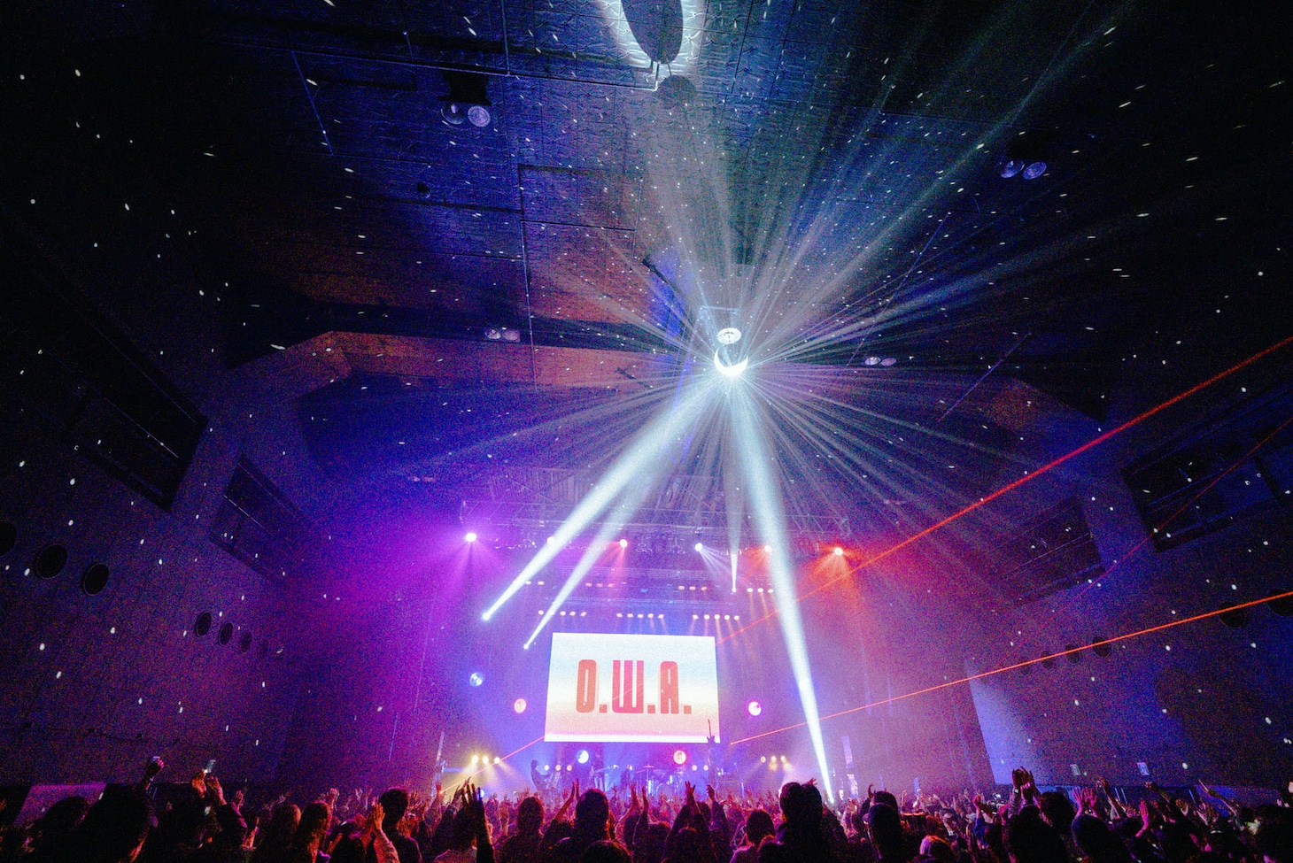 Mega Shinnosuke（Photo by Goku Noguchi）