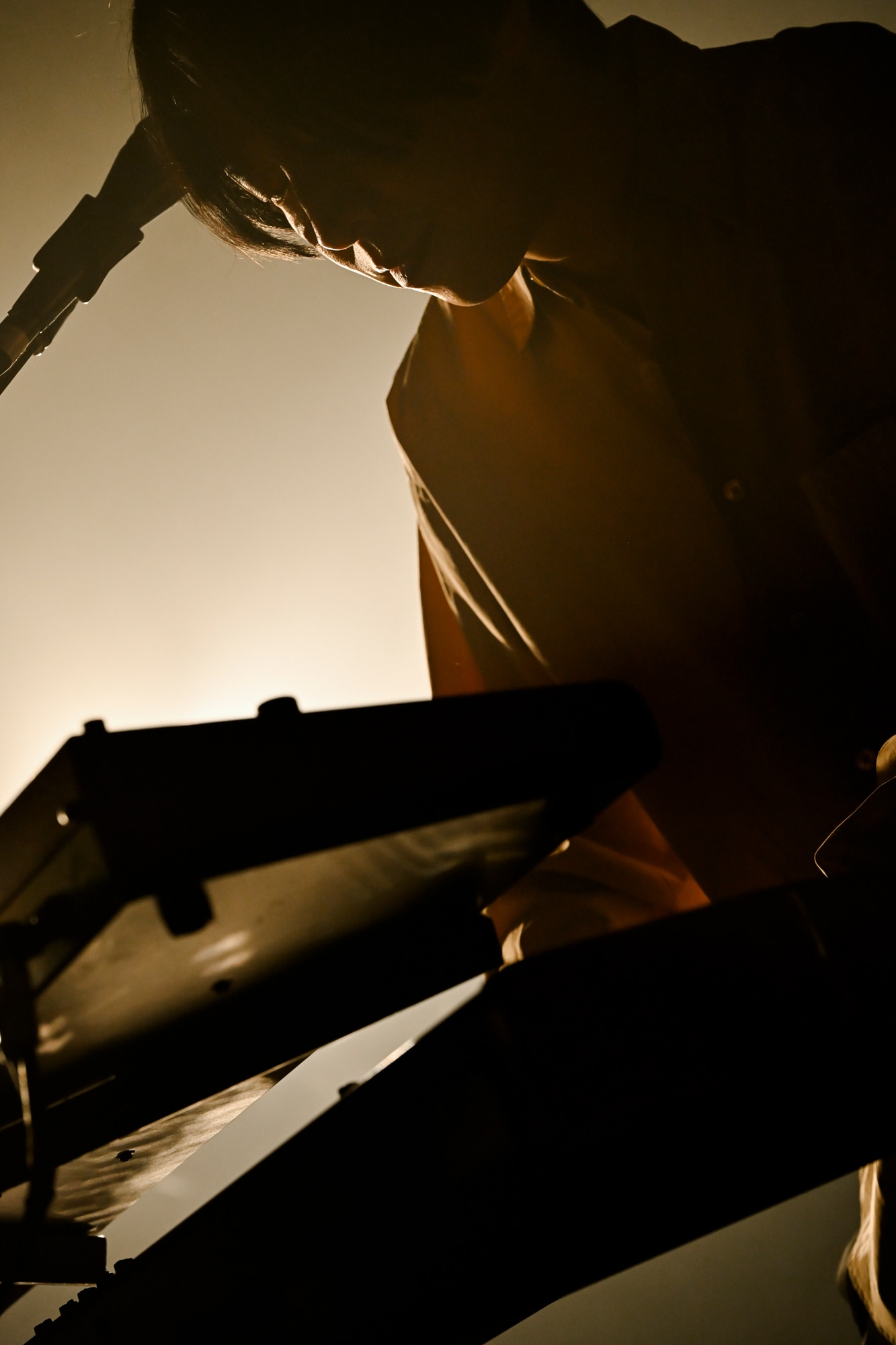 ホリエアツシ（Vo, G, Piano / ストレイテナー）（Photo by AZUSA TAKADA）