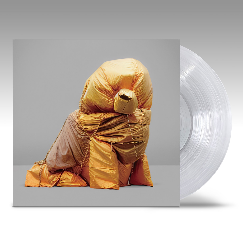 蓮沼執太チーム「TEAM」アナログパッケージ