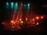 蓮沼執太チームツアー「重力」東京キネマ倶楽部公演の様子。（Photo by Kohei Yamamoto）