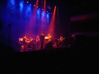 蓮沼執太チームツアー「重力」東京キネマ倶楽部公演の様子。（Photo by Kohei Yamamoto）