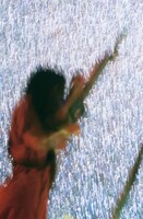 Takako Noelによる写真。