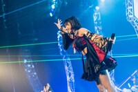 はのんまゆ（撮影：真島洸）