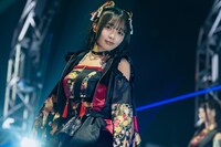 すずめ（撮影：真島洸）