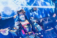 すずめ（撮影：真島洸）