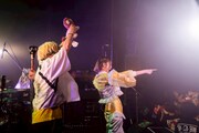 「Wienners ONEMAN LIVE "CULT POP SHOW"」の様子。（撮影：かい）