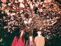 おばけ。左からマヒトゥ・ザ・ピーポー、青葉市子、下津光史。