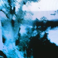 Graupel「Beloved」ジャケット