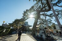 大慶寺の境内を散策する後藤正文。