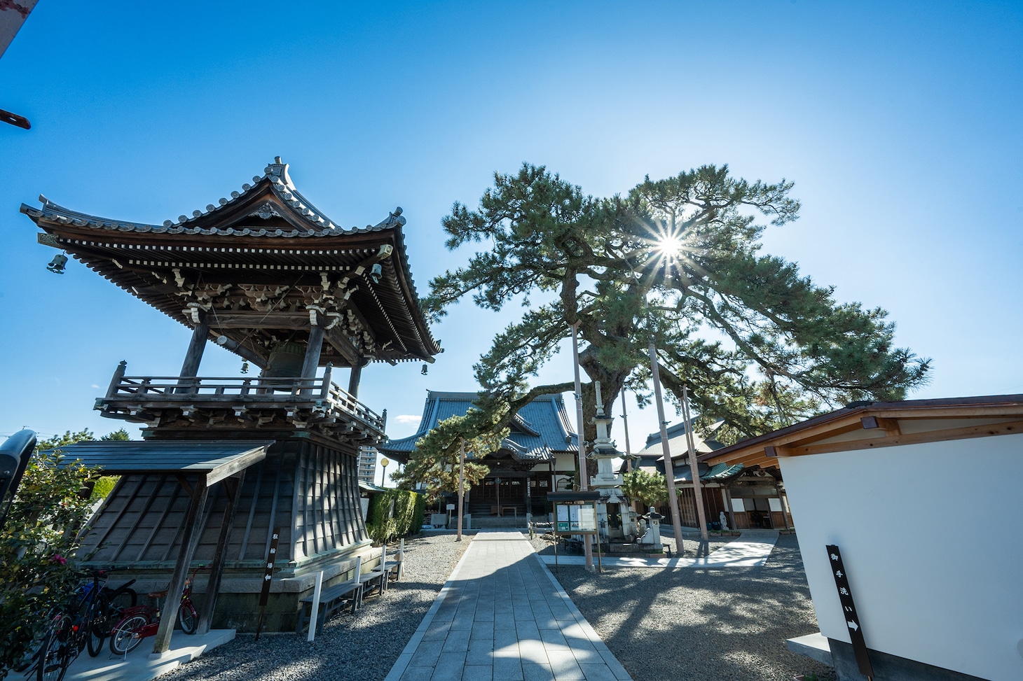 久遠の松がそびえ立つ大慶寺。