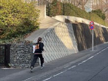 坂を駆け抜けるハナエモンスター（豆柴の大群）。