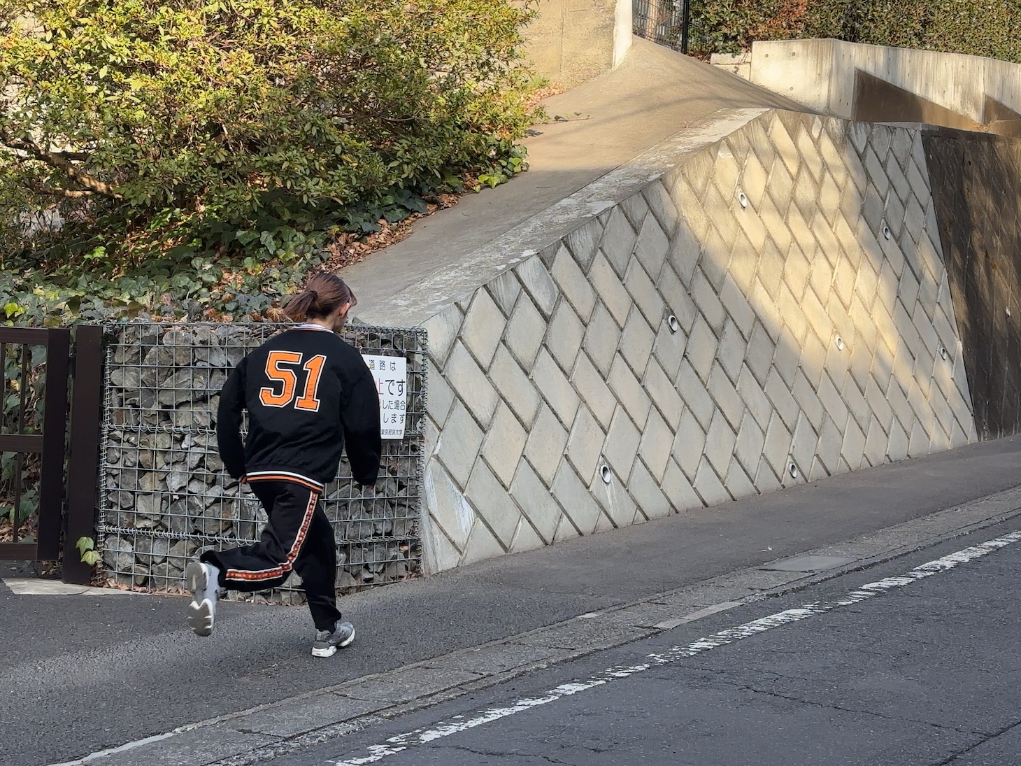 坂を駆け抜けるハナエモンスター（豆柴の大群）。