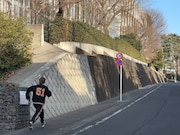坂を駆け抜けるハナエモンスター（豆柴の大群）。