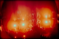 Fallsheeps（撮影：稲垣ルリコ）