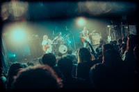 Nikoん（撮影：稲垣ルリコ）