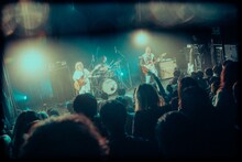 Nikoん（撮影：稲垣ルリコ）