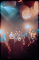 Nikoん（撮影：稲垣ルリコ）