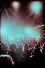 Nikoん（撮影：稲垣ルリコ）