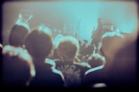 Nikoん（撮影：稲垣ルリコ）