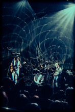 Nikoん（撮影：稲垣ルリコ）