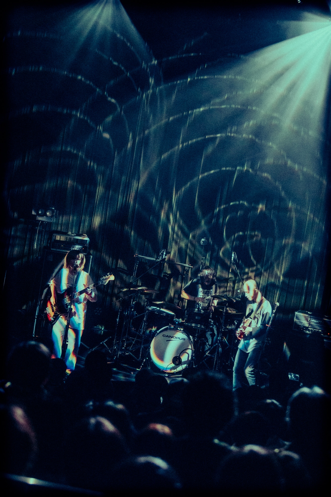 Nikoん（撮影：稲垣ルリコ）