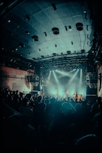 Nikoん（撮影：稲垣ルリコ）