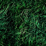 ao「痛い膝」配信ジャケット