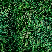 ao「痛い膝」配信ジャケット