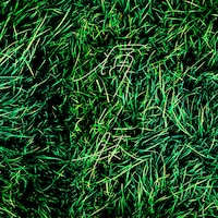 ao「痛い膝」配信ジャケット