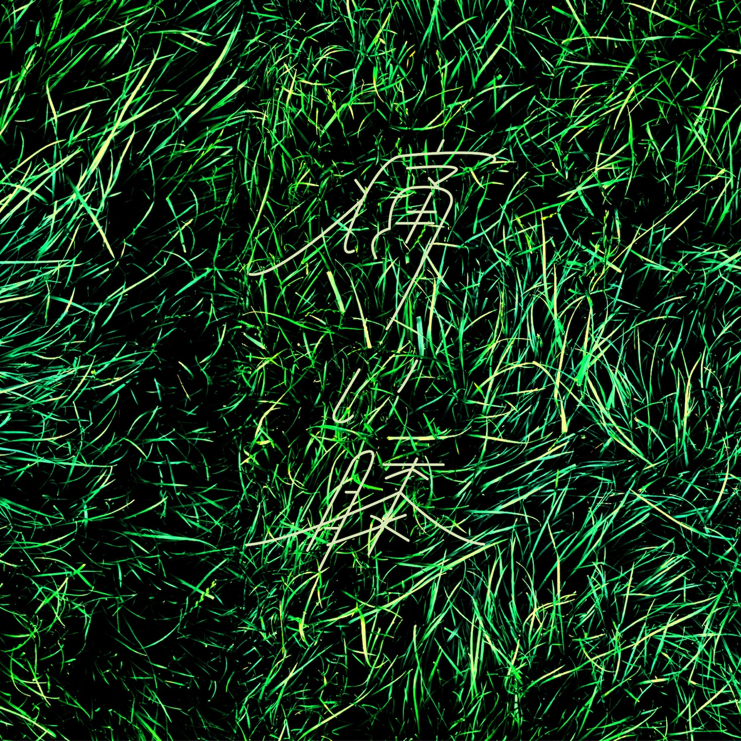 ao「痛い膝」配信ジャケット