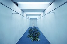 AdoスタッフのX（@ado_staff）に投稿された写真。