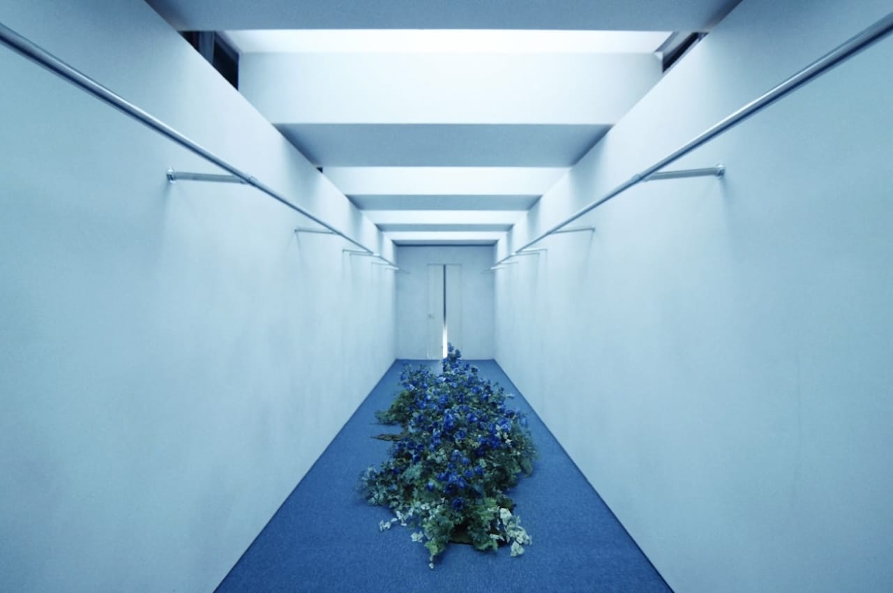 AdoスタッフのX（@ado_staff）に投稿された写真。